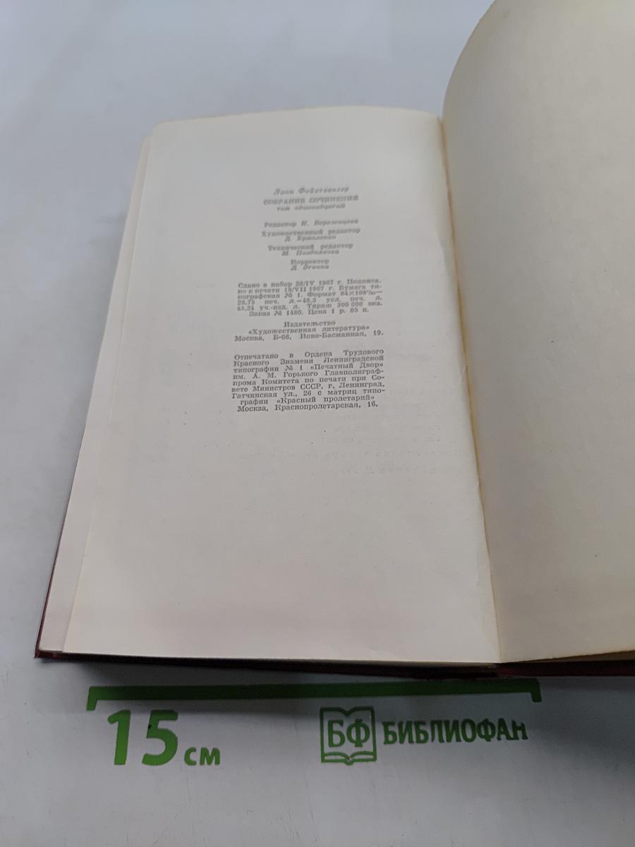 Лисы в винограднике