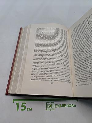 Лисы в винограднике