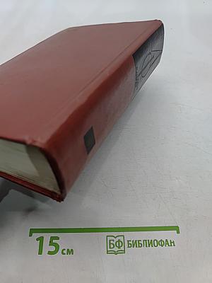Лисы в винограднике
