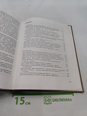 Я видел будущее. Книга 2