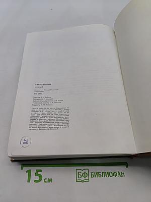 Я видел будущее. Книга 2