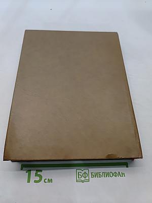 Я видел будущее. Книга 2
