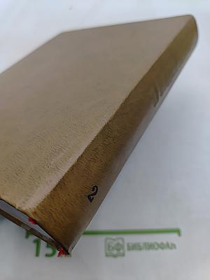 Я видел будущее. Книга 2