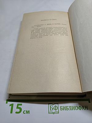 Радость на небесах. Тихий уголок. И снова к солнцу
