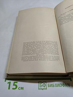 Радость на небесах. Тихий уголок. И снова к солнцу
