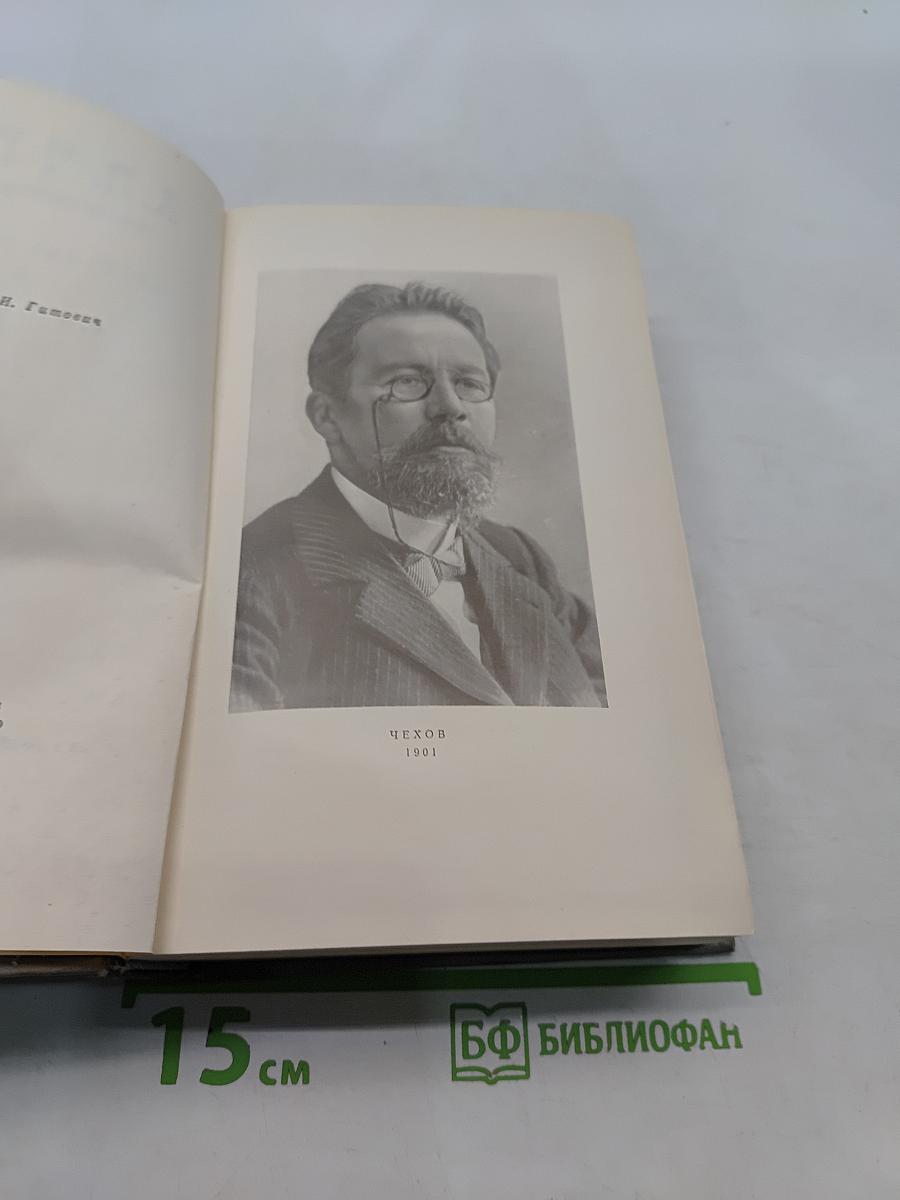 Собрание сочинений. Том двенадцатый. Письма 1895-1904