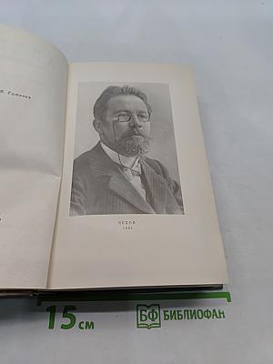 Собрание сочинений. Том двенадцатый. Письма 1895-1904