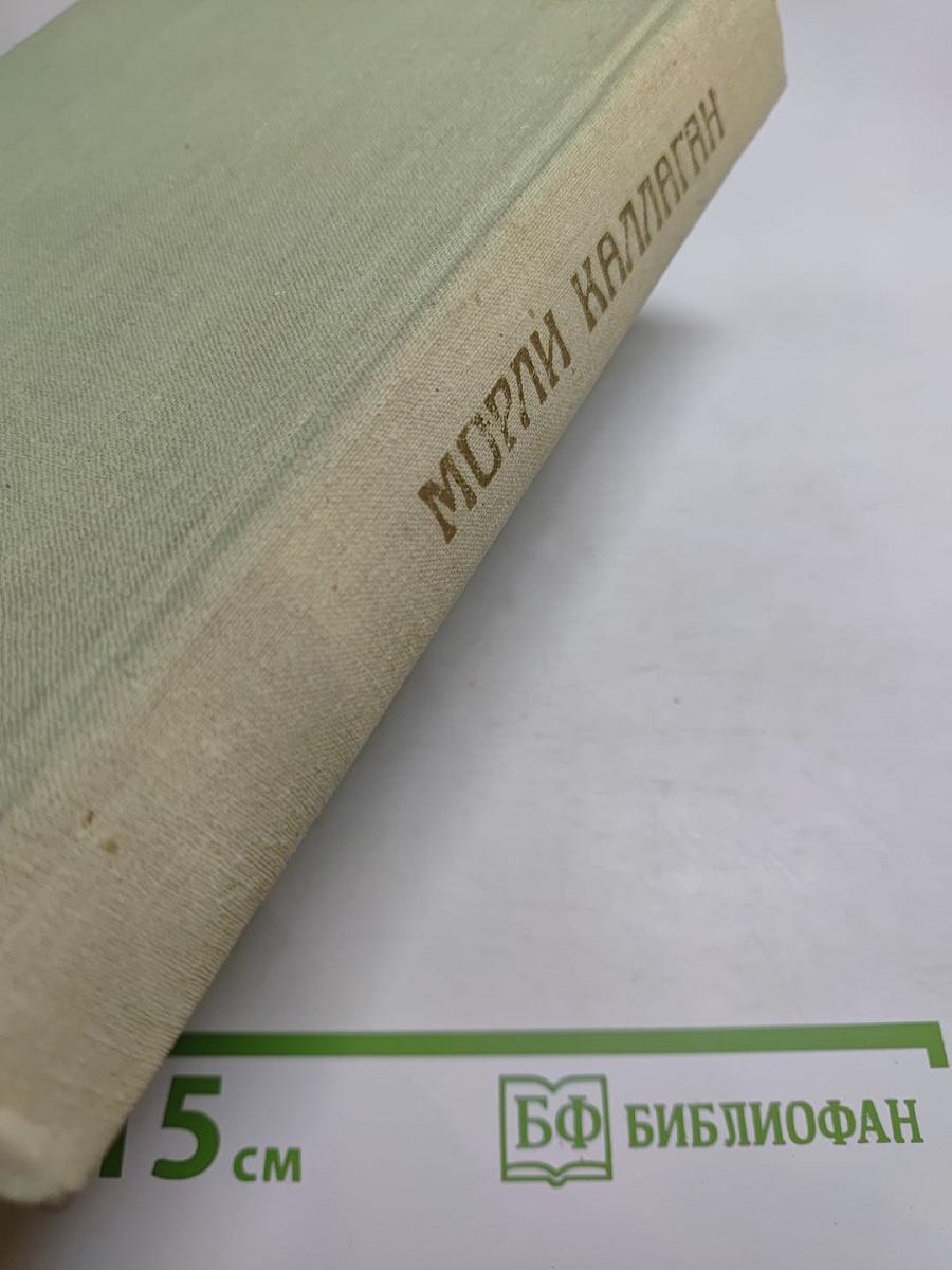 Радость на небесах. Тихий уголок. И снова к солнцу