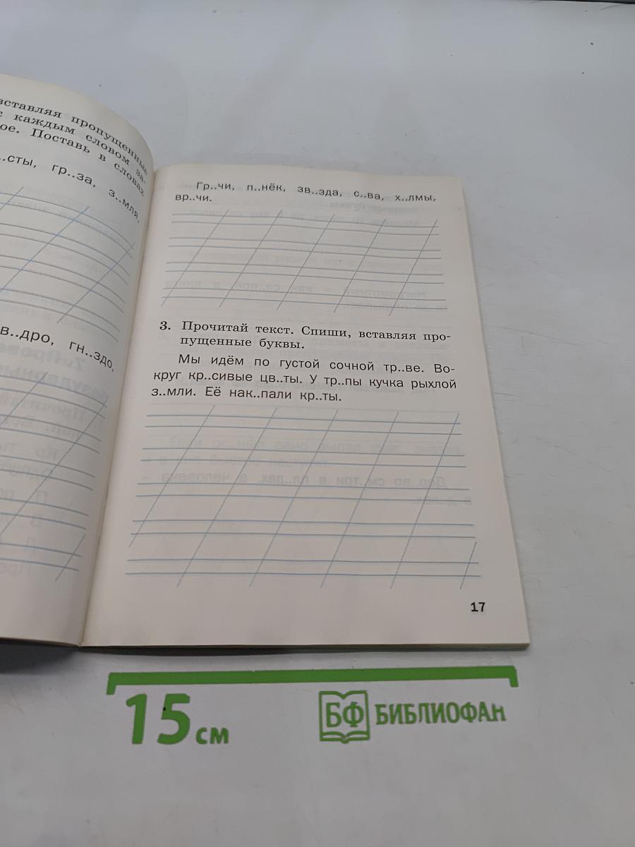 Тренажёр по русскому языку для подготовки к ВПР. 1 класс