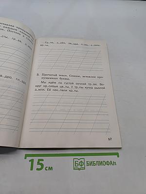 Тренажёр по русскому языку для подготовки к ВПР. 1 класс