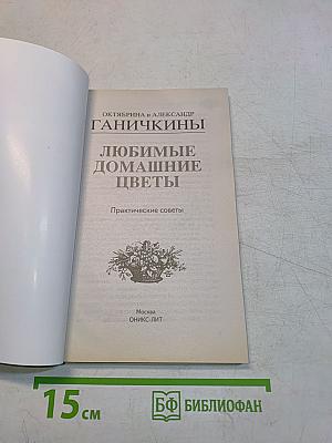 Любимые домашние цветы