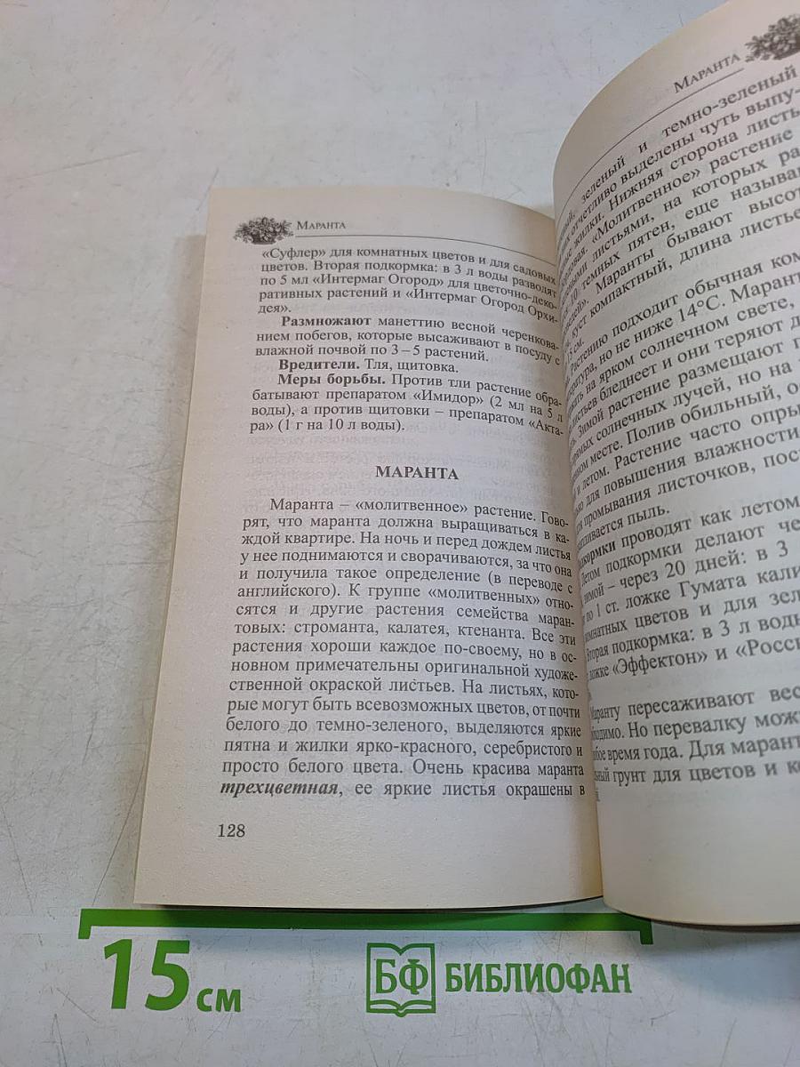 Любимые домашние цветы