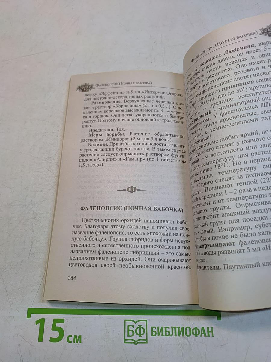 Любимые домашние цветы
