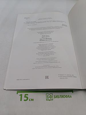 Красная Шапочка. Госпожа Метелица