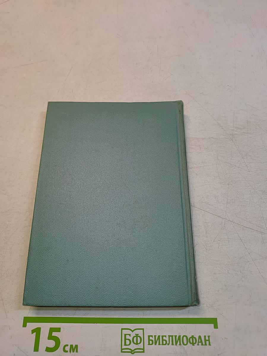 Собрание сочинений. Том второй. Стихотворения (Октябрь 1917-1924)
