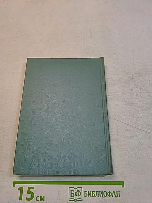 Собрание сочинений. Том второй. Стихотворения (Октябрь 1917-1924)