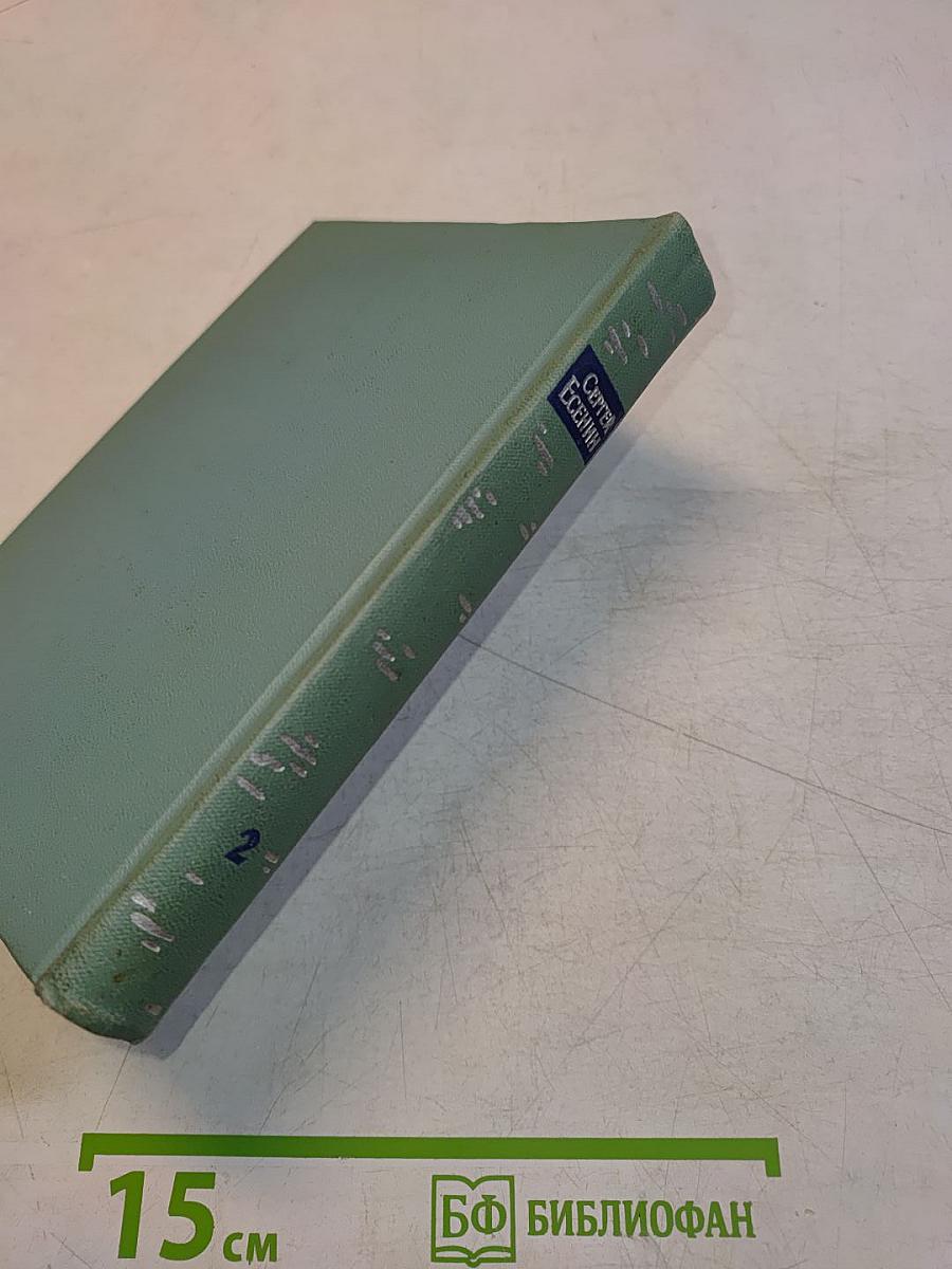 Собрание сочинений. Том второй. Стихотворения (Октябрь 1917-1924)