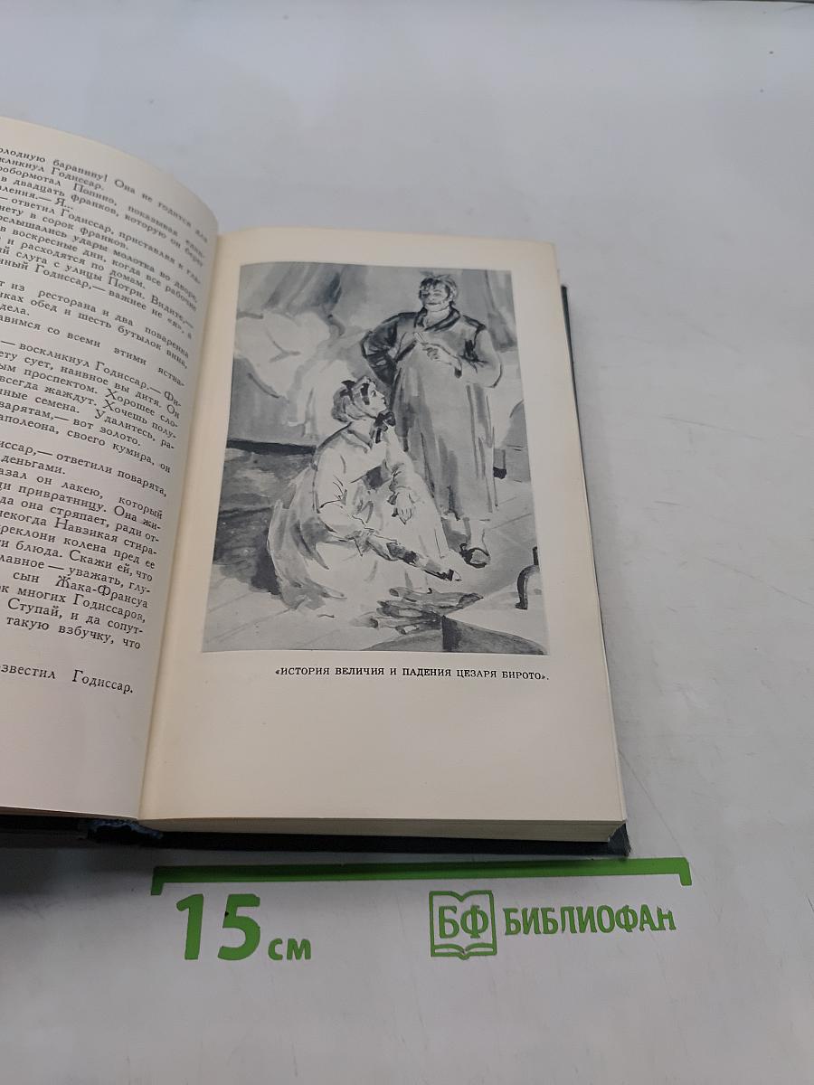 Человеческая комедия. Том 12