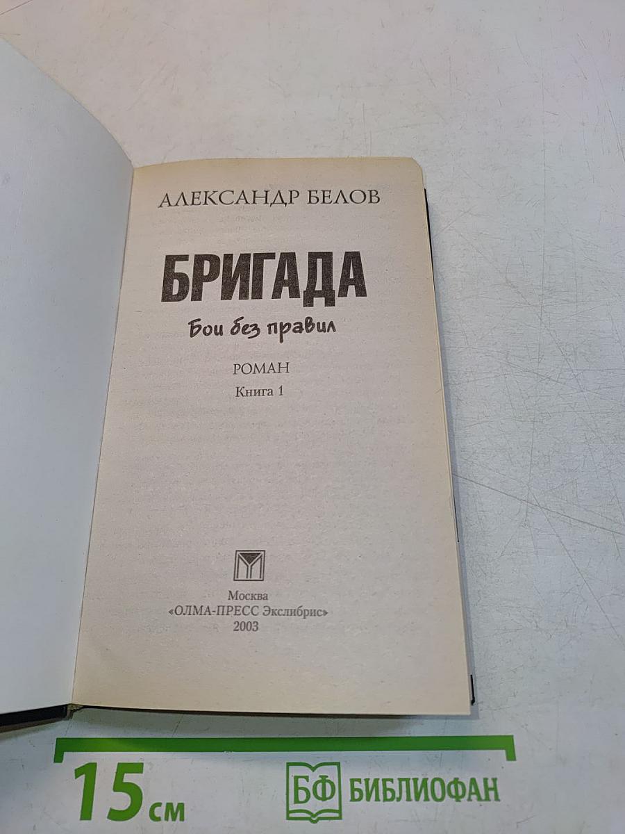 Бригада. Бой без правил. Книга 1