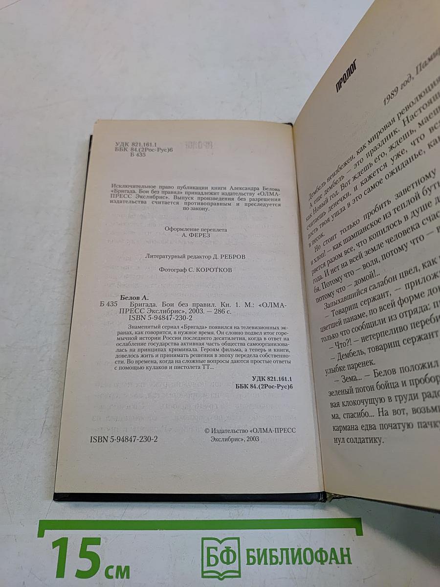 Бригада. Бой без правил. Книга 1