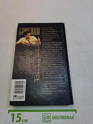 Бригада. Бой без правил. Книга 1