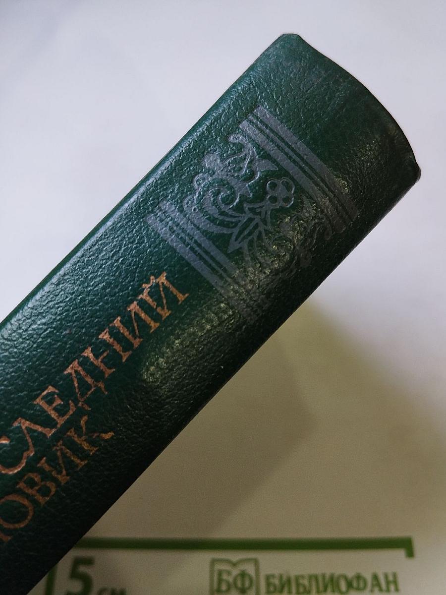 Последний новик