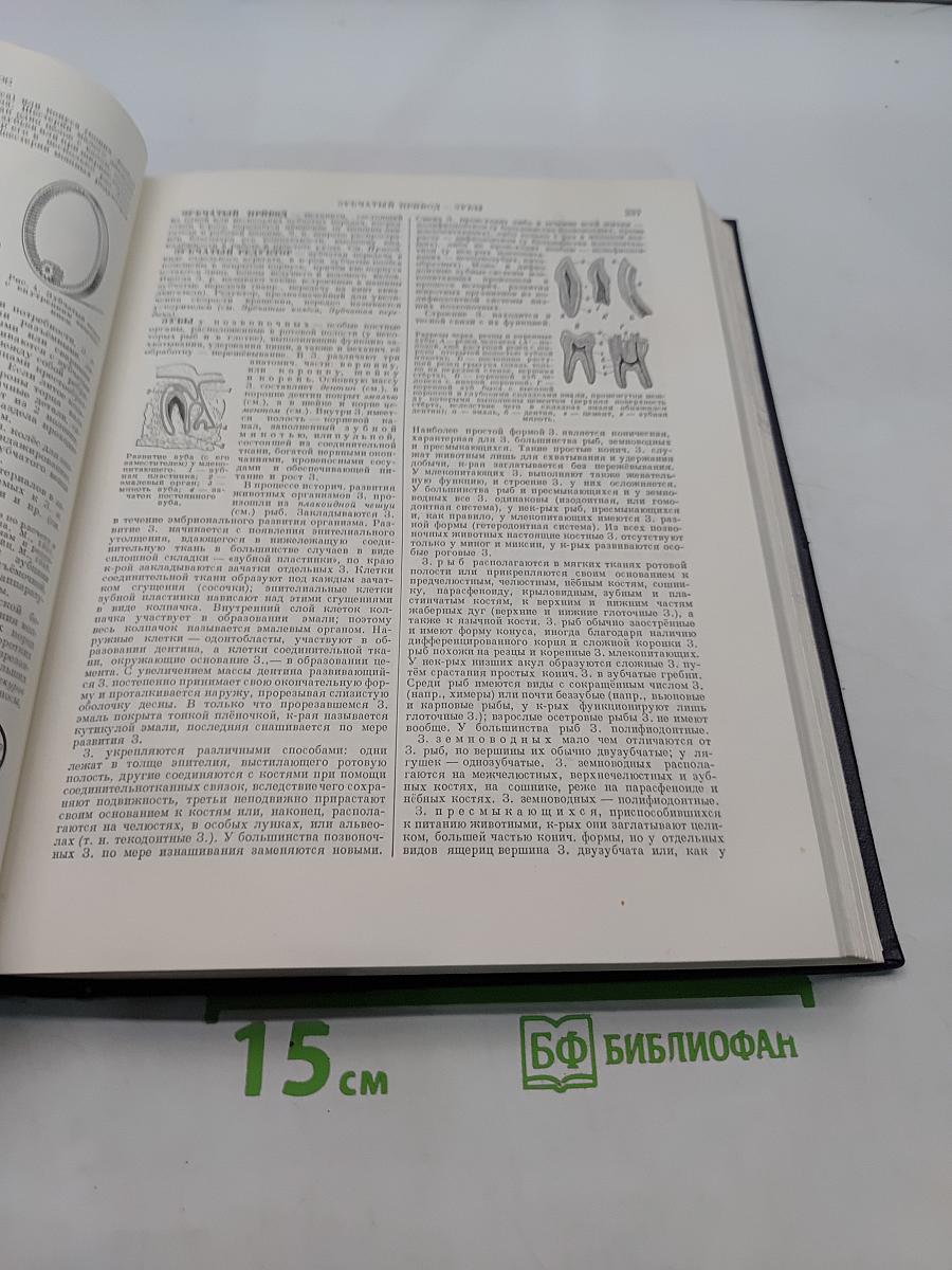 Большая Советская Энциклопедия. Том 17. Земля – Индейцы