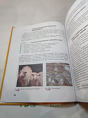 Технология. Технологии ведения дома 7 класс