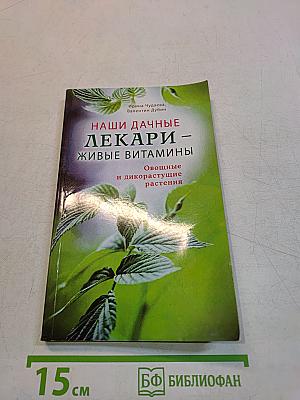 Наши дачные лекари – живые витамины. Овощные и дикорастущие растения