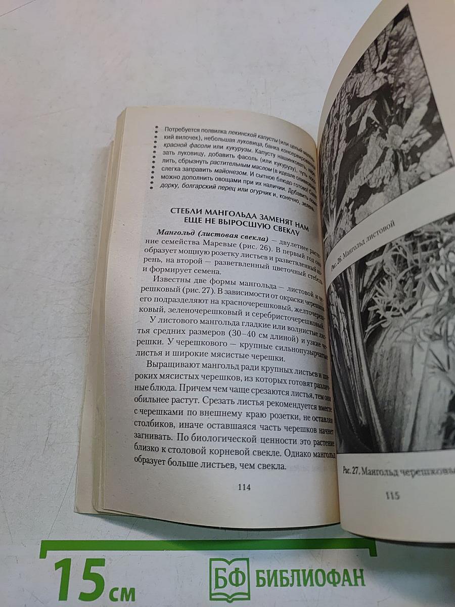 Наши дачные лекари – живые витамины. Овощные и дикорастущие растения