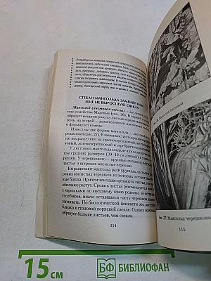Наши дачные лекари – живые витамины. Овощные и дикорастущие растения