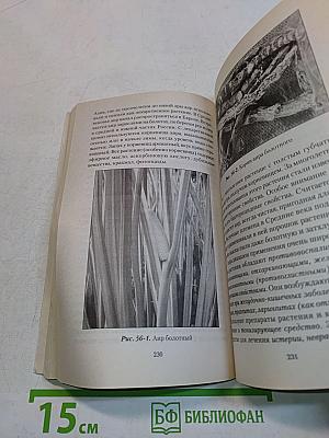 Наши дачные лекари – живые витамины. Овощные и дикорастущие растения