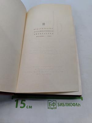 Симона. Том шестой. Книга 3