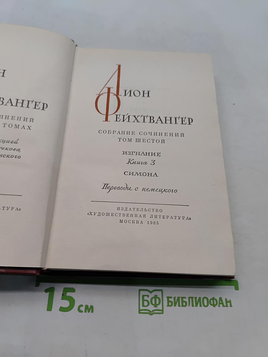 Симона. Том шестой. Книга 3