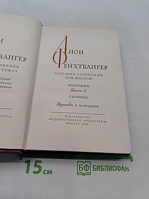 Симона. Том шестой. Книга 3