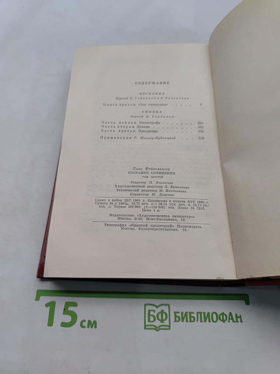 Симона. Том шестой. Книга 3