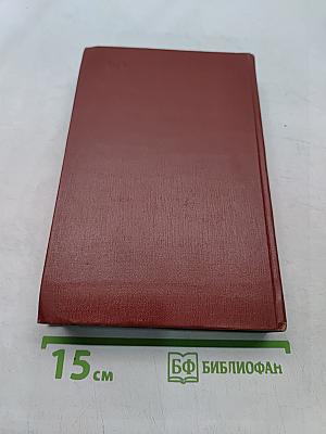 Симона. Том шестой. Книга 3