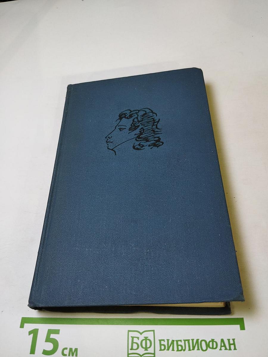 Собрание сочинений в десяти томах. Том VI. Критика и публицистика