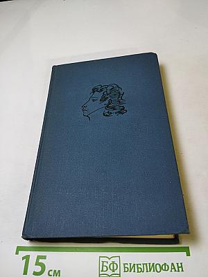 Собрание сочинений в десяти томах. Том VI. Критика и публицистика