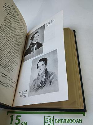 Собрание сочинений в десяти томах. Том VI. Критика и публицистика