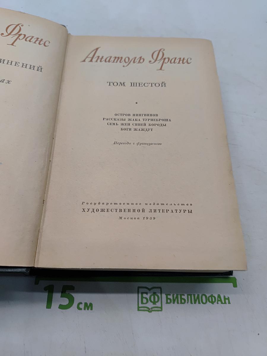 Остров пингвинов. Рассказы. Мадам Понтебрен. Сказка о жемчуге. Боги жаждут. Том шестой