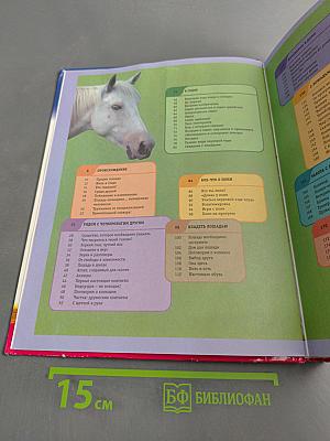 Лошади. Детское справочное бюро