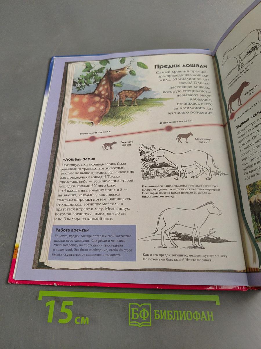 Лошади. Детское справочное бюро