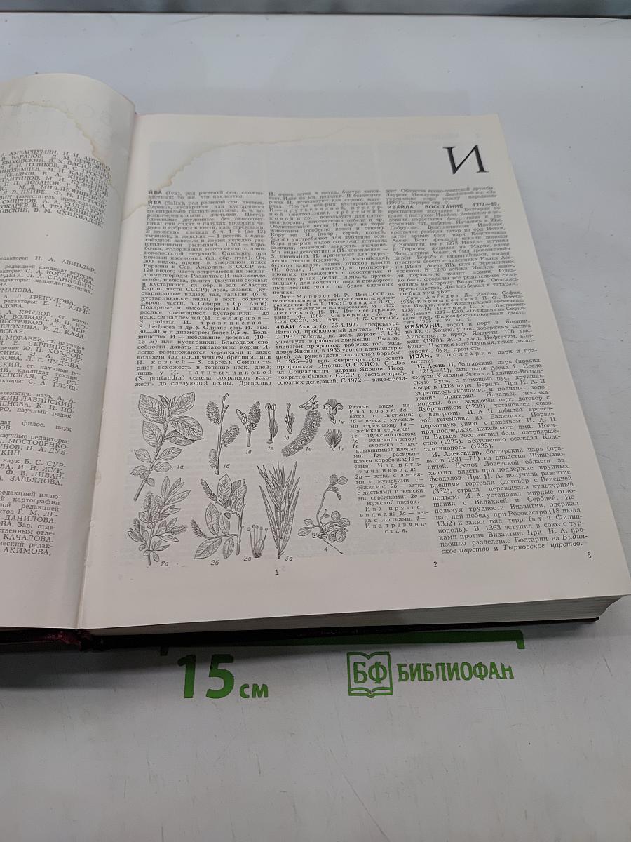 Большая советская энциклопедия. Том 10. Ива — Итальянцы
