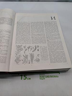 Большая советская энциклопедия. Том 10. Ива — Итальянцы