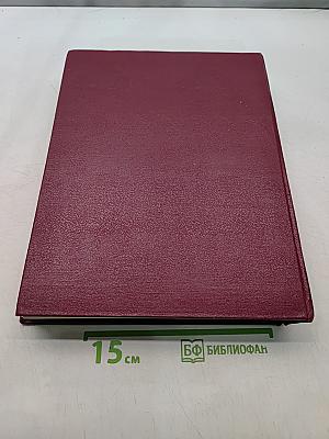 Большая советская энциклопедия. Том 10. Ива — Итальянцы
