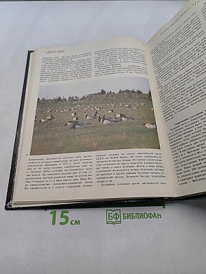 Энциклопедия полимеров. Том 2. Л — Полинозные волокна