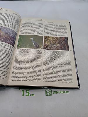 Энциклопедия полимеров. Том 2. Л — Полинозные волокна