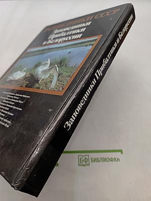 Энциклопедия полимеров. Том 2. Л — Полинозные волокна