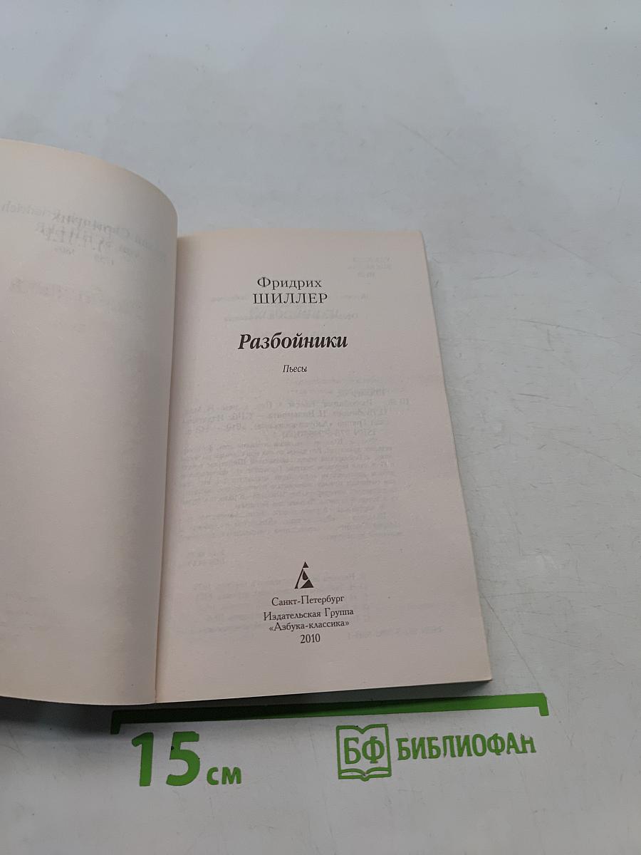 Разбойники